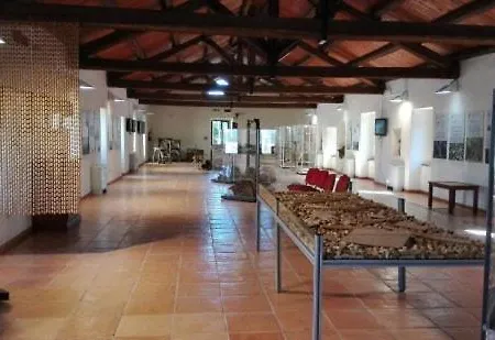Bed & Breakfast Loft Civico 80 3*