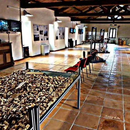 Loft Civico 80